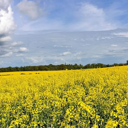 Nyaraló Finest Retreats - The Old Estate Office Nr Hall *